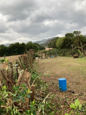 仲村邸　東防風林　アフター